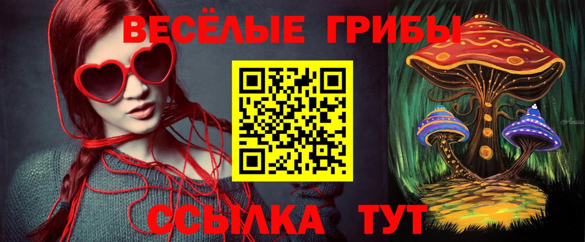 Златоуст  Галлюциногенные грибы мицелий  как найти закладки  Вход с VPN  Галлюциногенные грибы Magic Shrooms 